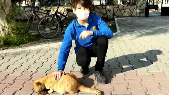 Sakin Şehir Köyceğiz'de Limon isimli kedi müzik derslerinin vazgeçilmezi oldu