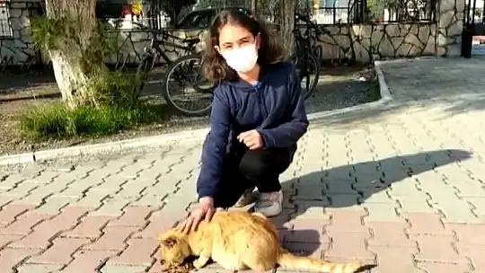 Sakin Şehir Köyceğiz'de Limon isimli kedi müzik derslerinin vazgeçilmezi oldu