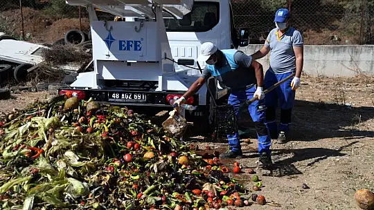 Semt Pazarlarından Kompost Gübreye