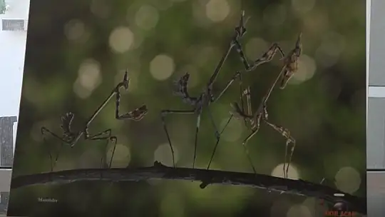 'GÖZ GÖZE' İSİMLİ FOTOĞRAF SERGİSİ AÇILDI