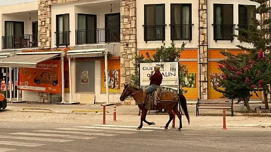 Şehir boşaltılınca atıyla eczaneye gelip ilaç almak istedi