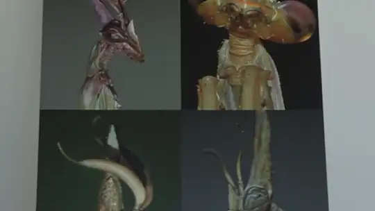 'GÖZ GÖZE' İSİMLİ FOTOĞRAF SERGİSİ AÇILDI