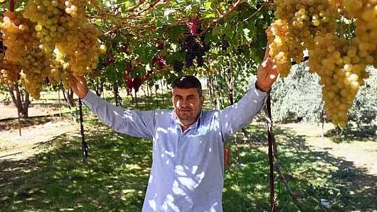 Seydikemer'de 'Bağbozumu Şenliği'