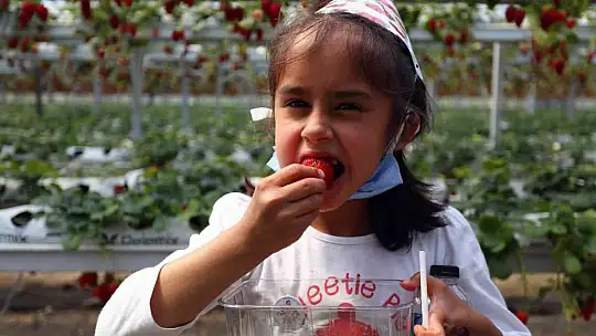 Seydikemer'de 'Çilek Çocuk Şenliği'