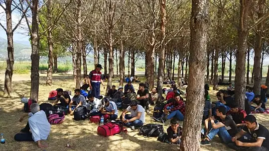 Seydikemer'de 81 düzensiz göçmen yakalandı