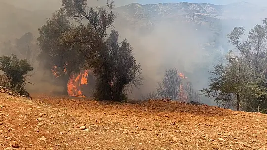 Seydikemer'de bir yangın daha
