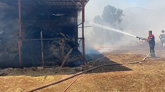 Seydikemer'de bir yangın daha