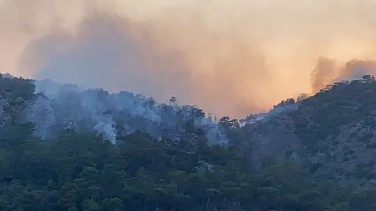 Seydikemer'de çıkan orman yangını devam ediyor