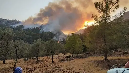 Seydikemer'de çıkan orman yangını devam ediyor