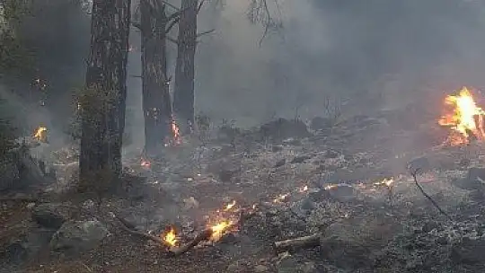 Seydikemer'de çıkan orman yangını devam ediyor