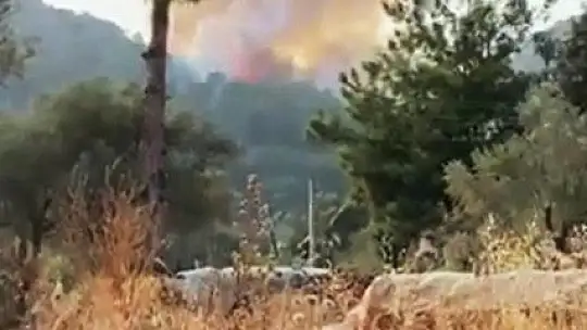 Seydikemer'de orman yangını başladı