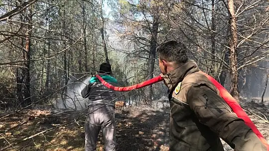 Seydikemer'de orman yangını