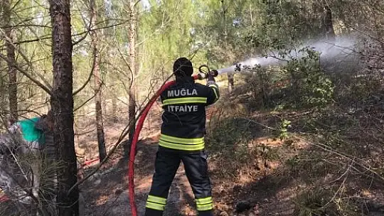 Seydikemer'de orman yangını