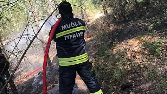 Seydikemer'de orman yangını