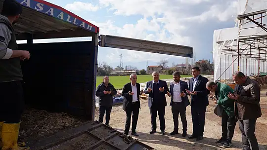 KARKAS AĞIRLIĞI 933,5 KİLOGRAM GELEN 'ARAP' TÜRKİYE REKORUNU KIRDI