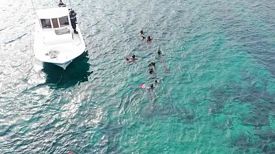 Sosyete Koyu'nda 230 kilogram çöp çıktı