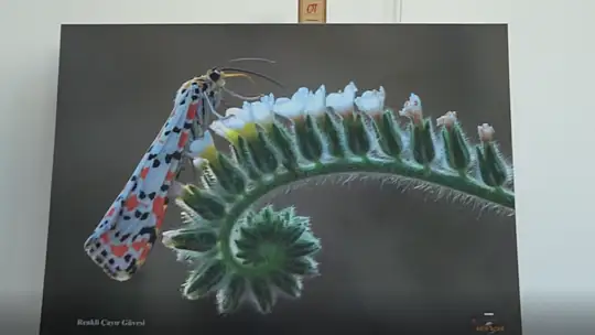 'GÖZ GÖZE' İSİMLİ FOTOĞRAF SERGİSİ AÇILDI