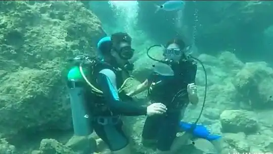 Su üstündeki yunuslardan su altında evlenme teklifi