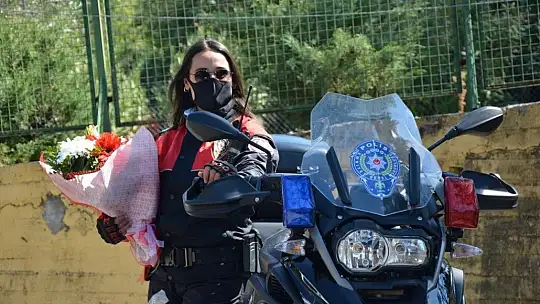 Su üstündeki yunuslardan su altında evlenme teklifi