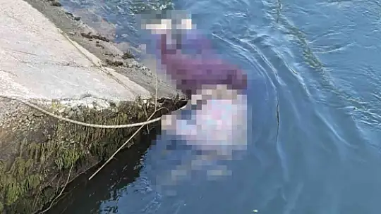 Sulama kanalında kadın cesedi bulundu