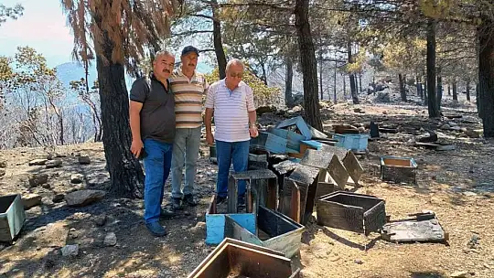 TAB Başkanı Ziya Şahin, Orman Bakanı Kirişçi ile görüştü