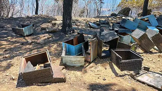 TAB Başkanı Ziya Şahin, Orman Bakanı Kirişçi ile görüştü