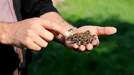 TAB Genel Başkanı Şahin, arılarımız ölmesin