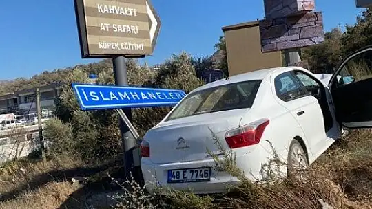 Tabelaya çarpıp ormanlık alana kaçtılar