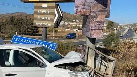 Tabelaya çarpıp ormanlık alana kaçtılar