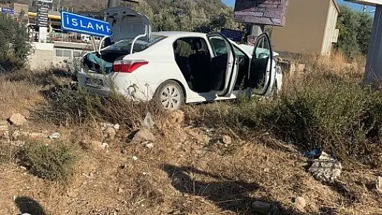 Tabelaya çarpıp ormanlık alana kaçtılar