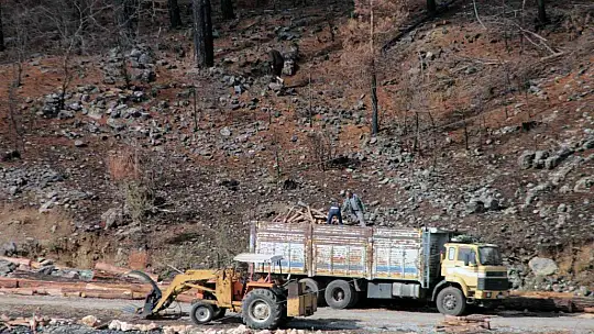 Tabiat ana küllerinden yeşeriyor