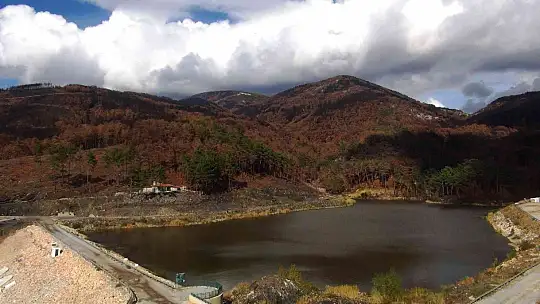 Tabiat ana küllerinden yeşeriyor