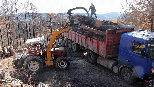 Tabiat ana küllerinden yeşeriyor