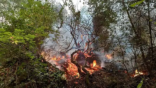 Tabiatın gizli hazinesi 'Turgut Şelalesi' de alevlere teslim oldu
