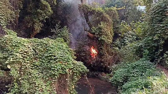 Tabiatın gizli hazinesi 'Turgut Şelalesi' de alevlere teslim oldu