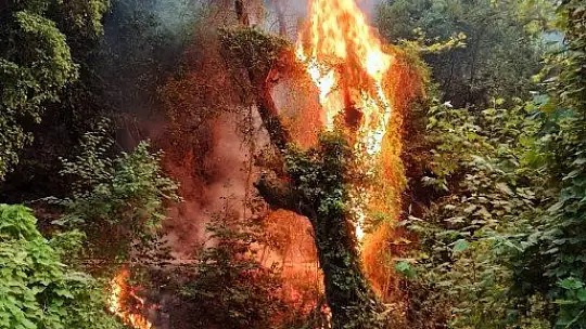 Tabiatın gizli hazinesi 'Turgut Şelalesi' de alevlere teslim oldu