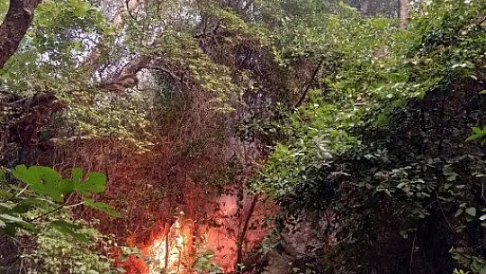 Tabiatın gizli hazinesi 'Turgut Şelalesi' de alevlere teslim oldu