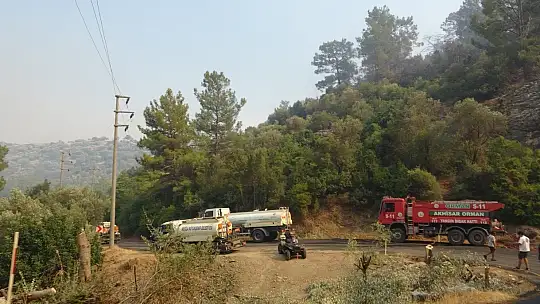 Tarihi Amos Antik Kenti çevresindeki yangına TOMA müdahelesi