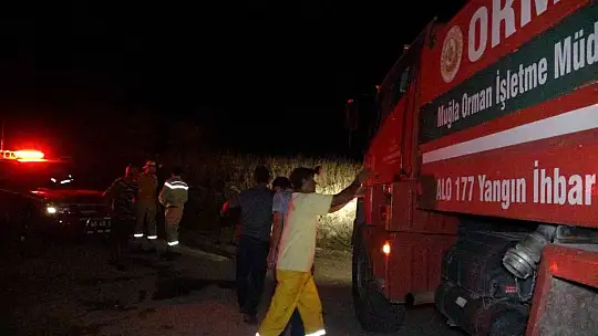 Tarım arazisinde çıkan yangın büyümeden söndürüldü