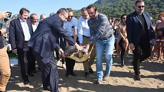 Tedavileri tamamlanan deniz kaplumbağaları denize bırakıldı