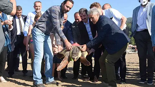 Tedavileri tamamlanan deniz kaplumbağaları denize bırakıldı