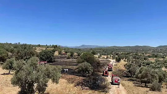 Temizlik ateşi kontrolden çıktı