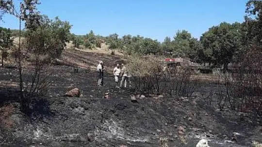 Temizlik ateşi kontrolden çıktı