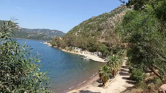Terk edilmiş koyda çadır kurdu, belediyeden bir kürek bir süpürge istiyor
