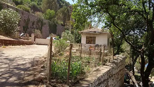 Terk edilmiş koyda çadır kurdu, belediyeden bir kürek bir süpürge istiyor