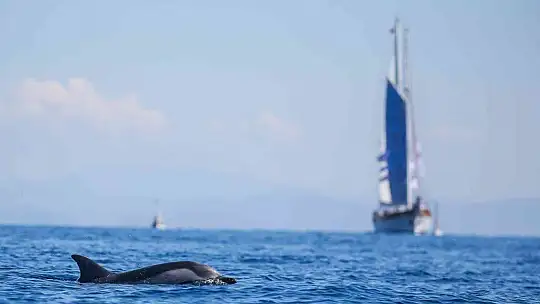 The Bodrum Cup'ta 2 yelkenli çarpıştı