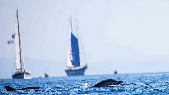 The Bodrum Cup'ta 2 yelkenli çarpıştı