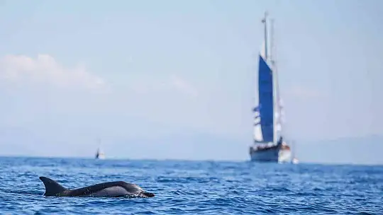 The Bodrum Cup'ta 2 yelkenli çarpıştı