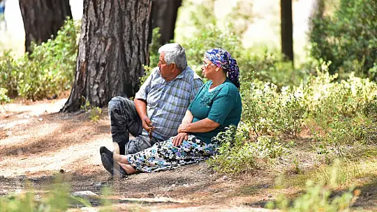 Başkan Alim Karaca, Akbelen'de