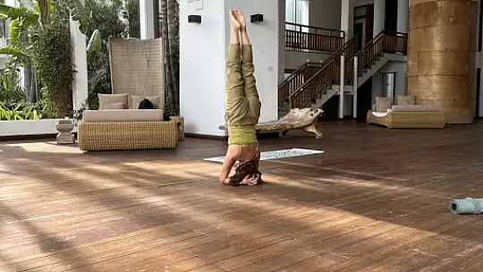 Yoga ve Sağlıklı Yaşam Festivali